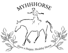 MYHHHORSE
